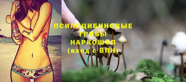 наркотики Богородск