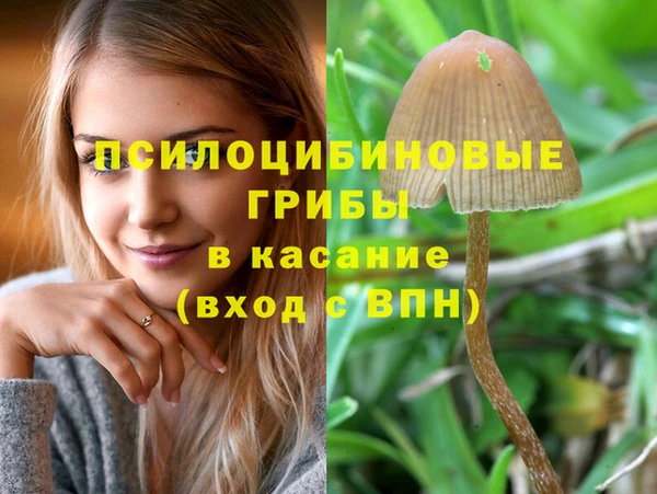 прущие крисы Богородицк