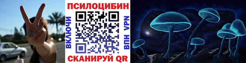 Псилоцибиновые грибы мицелий  Белая Холуница 
